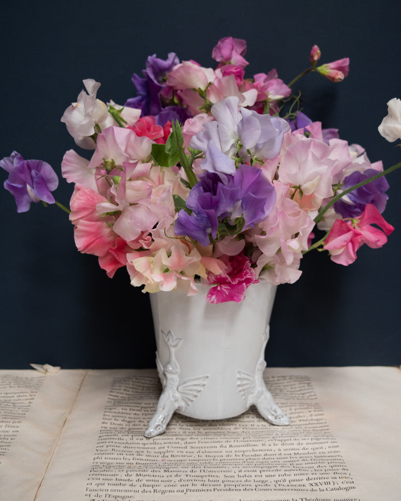 Astier de Villatte Dragon Pot