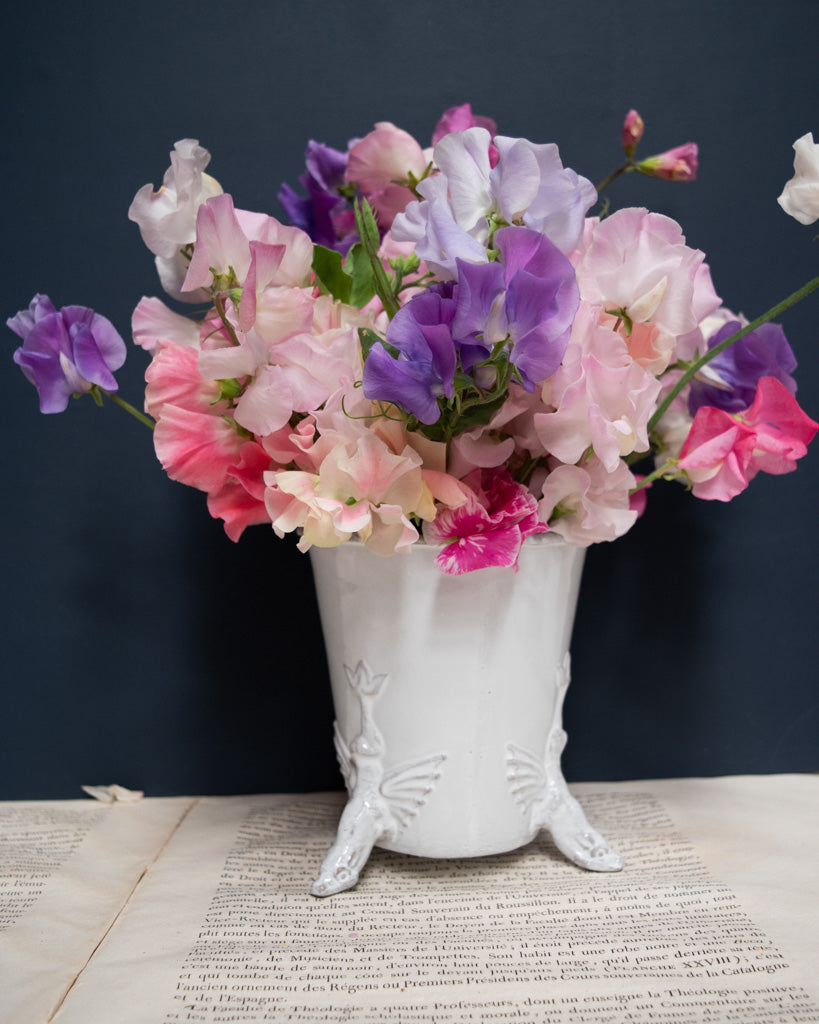 Astier de Villatte Dragon Pot