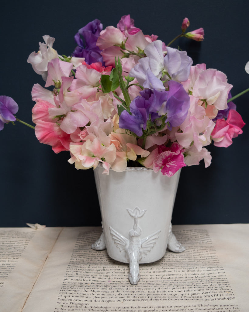 Astier de Villatte Dragon Pot