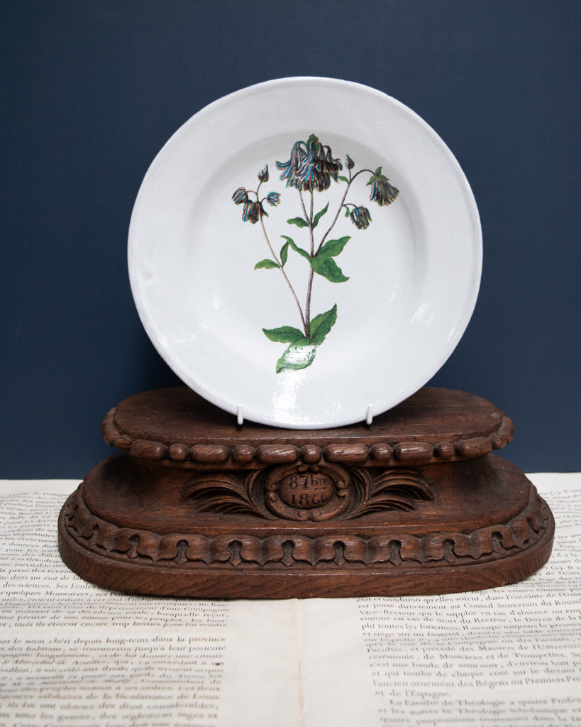 Astier de Villatte John Derian Columbine Flower Soup Plate