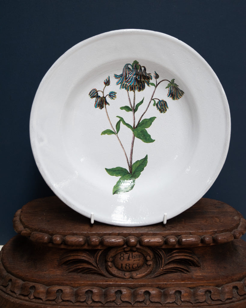 Astier de Villatte John Derian Columbine Flower Soup Plate