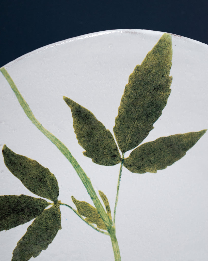 Astier de Villatte John Derian Medium Drachocephalum Plate