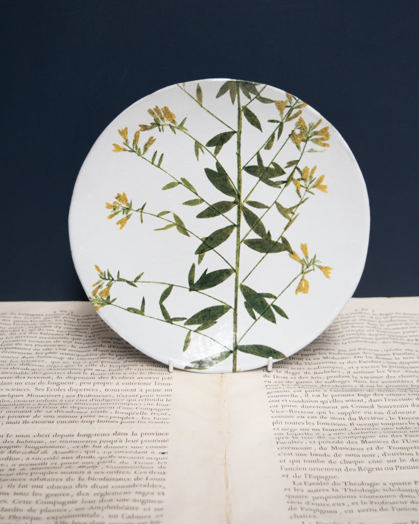 Astier de Villatte John Derian Medium Genista Plate