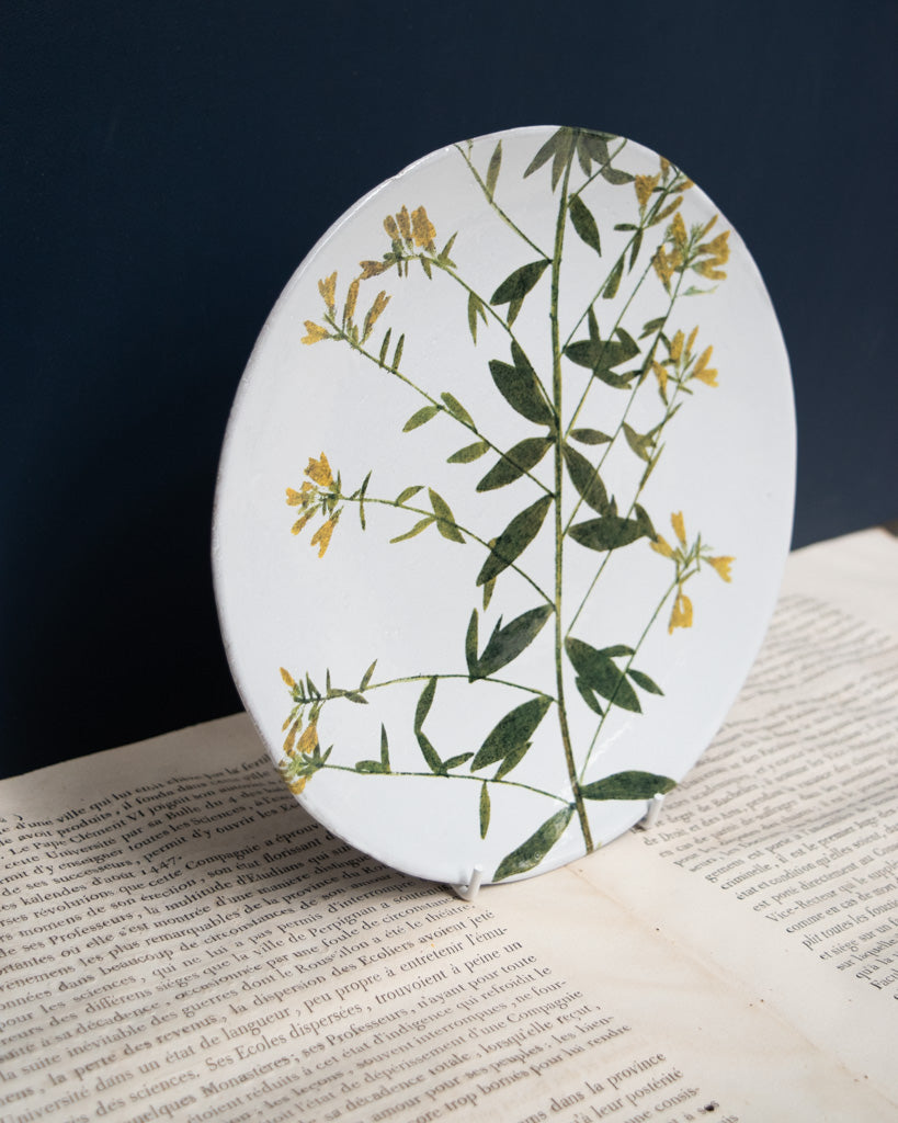 Astier de Villatte John Derian Medium Genista Plate
