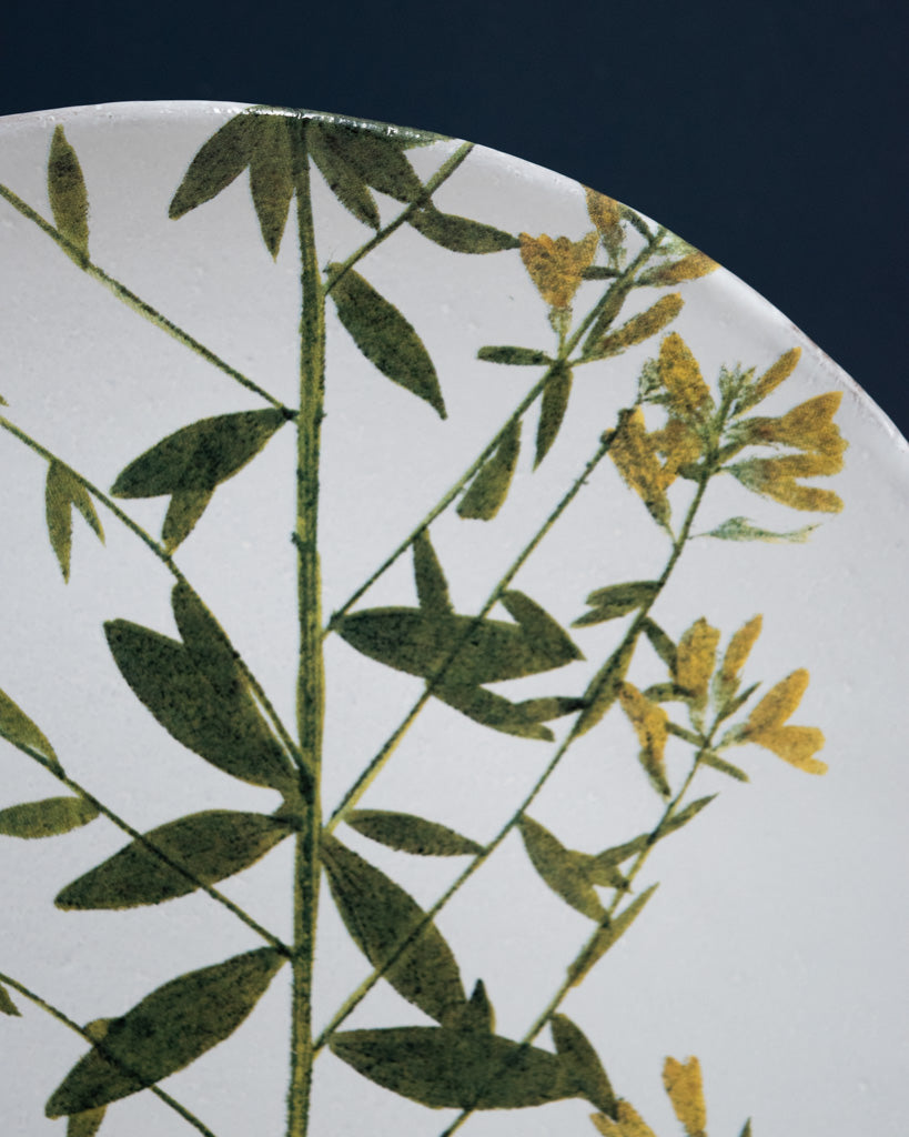 Astier de Villatte John Derian Medium Genista Plate