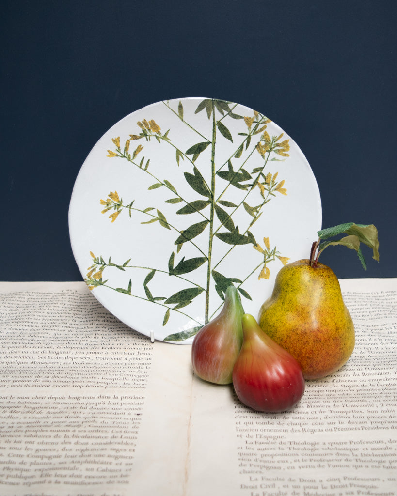 Astier de Villatte John Derian Medium Genista Plate