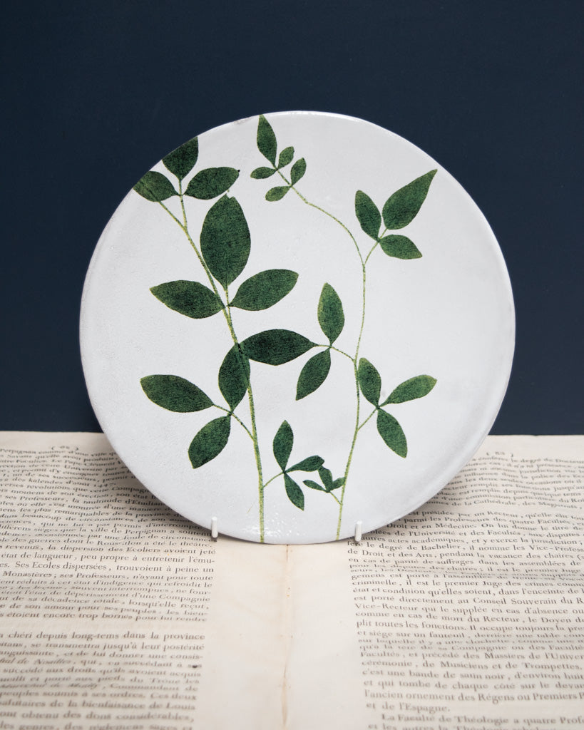 Astier de Villatte John Derian Medium Jasminum Plate