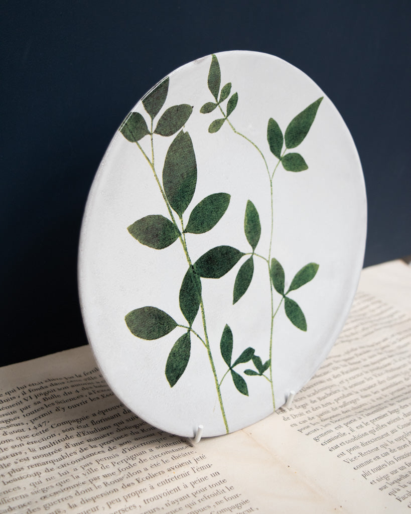 Astier de Villatte John Derian Medium Jasminum Plate