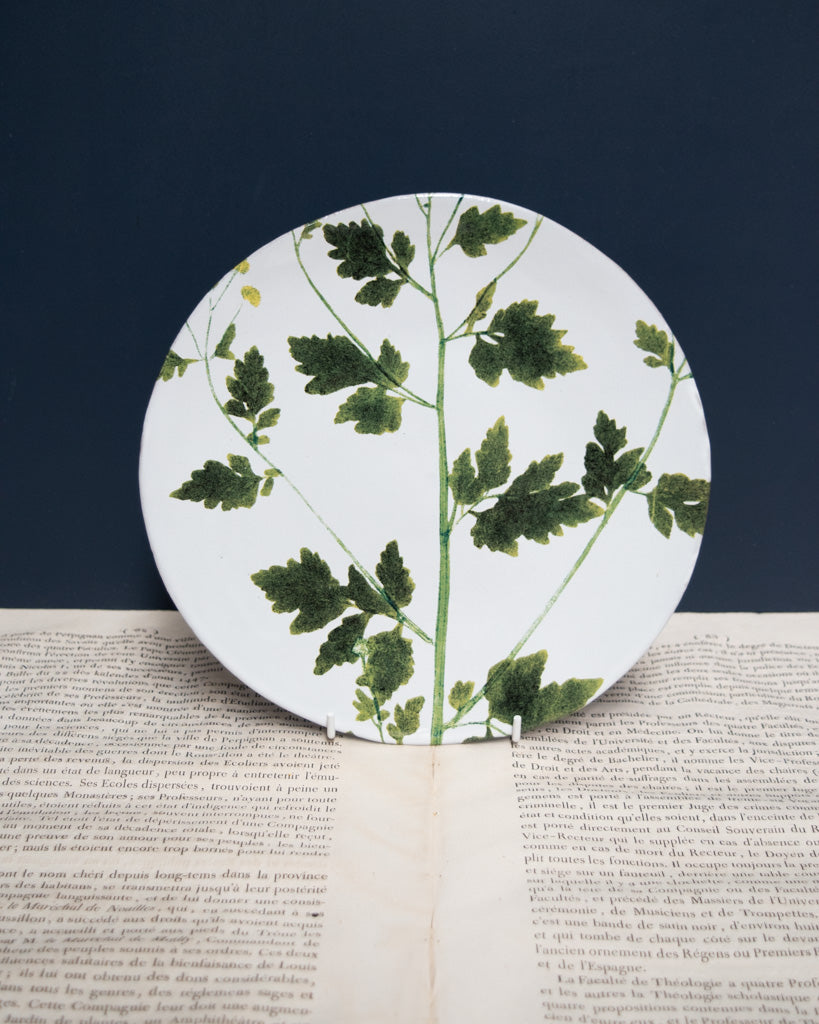 Astier de Villatte John Derian Medium Matricaria Plate