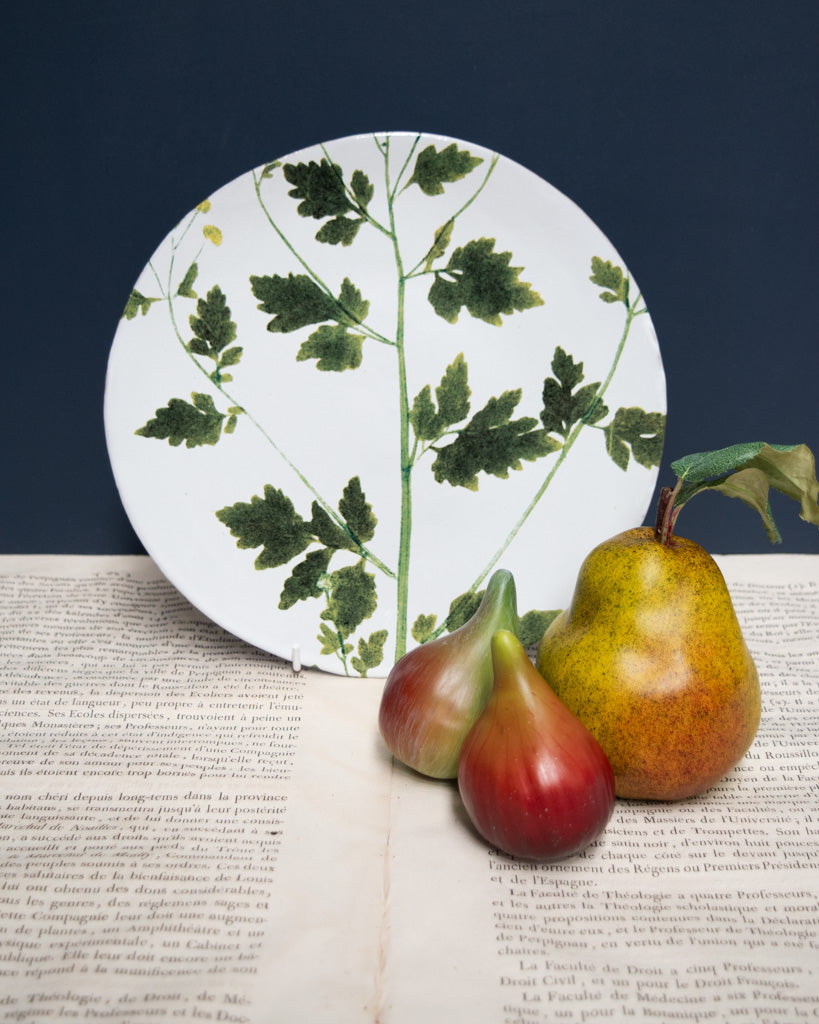 Astier de Villatte John Derian Medium Matricaria Plate