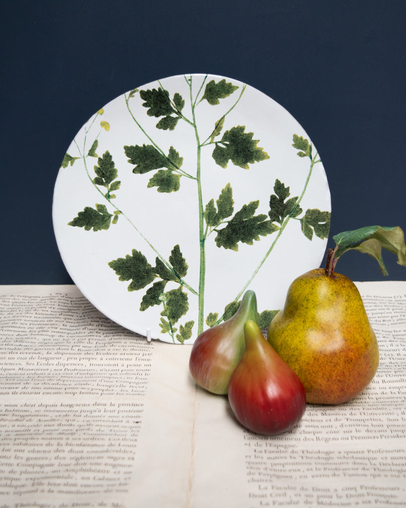 Astier de Villatte John Derian Medium Matricaria Plate