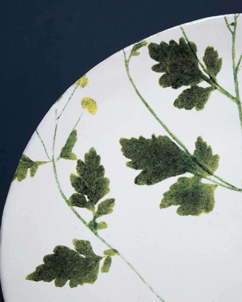 Astier de Villatte John Derian Medium Matricaria Plate