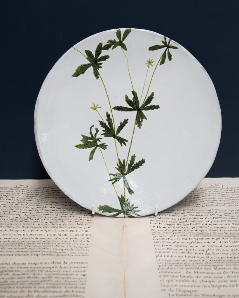 Astier de Villatte John Derian Medium Tormentilla Plate