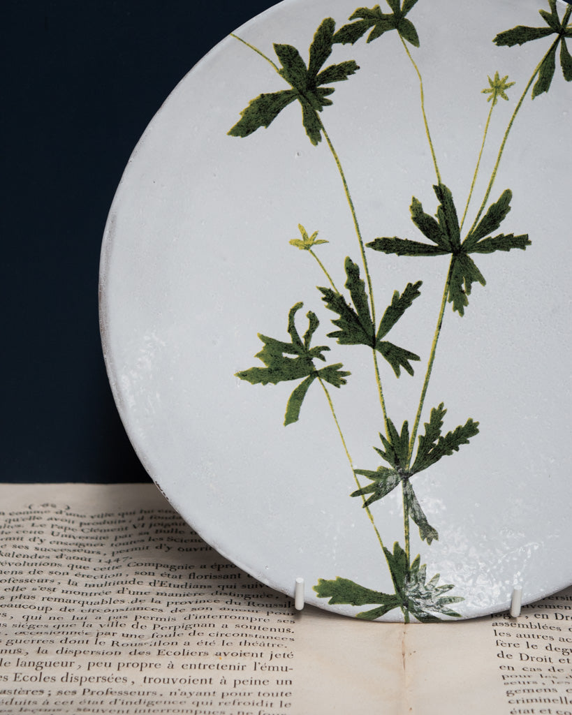 Astier de Villatte John Derian Medium Tormentilla Plate