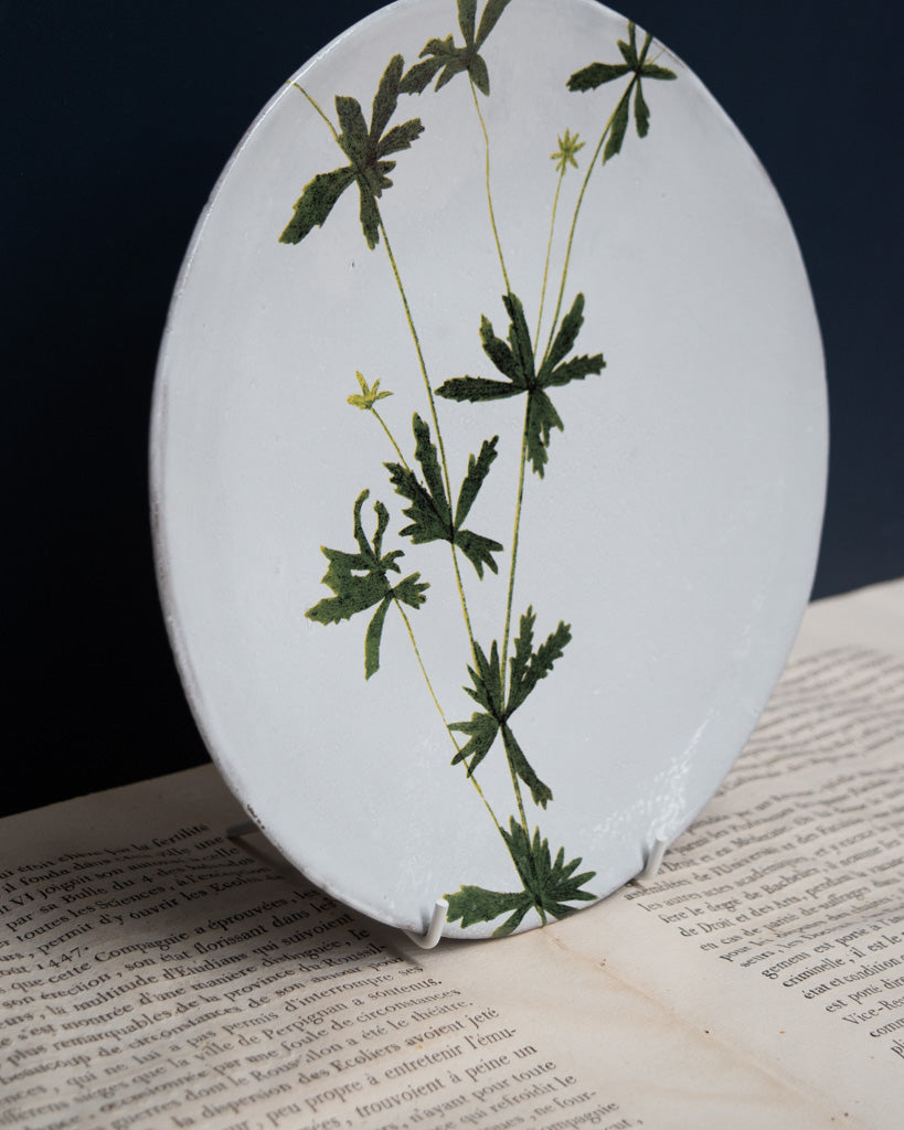 Astier de Villatte John Derian Medium Tormentilla Plate