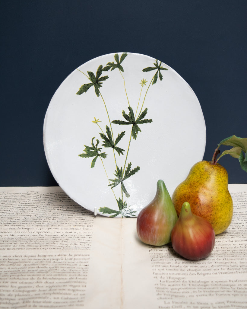 Astier de Villatte John Derian Medium Tormentilla Plate