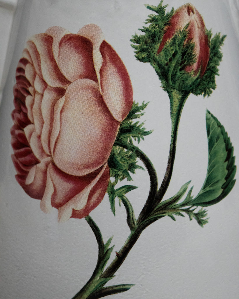 Astier de Villatte Moss Rose Vase