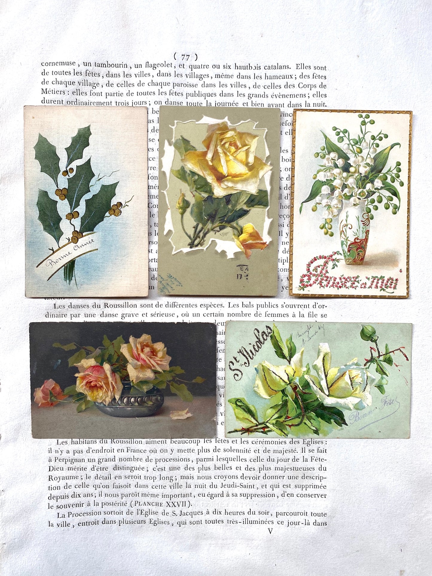 Antique French Postcards - Set 13 - Floral