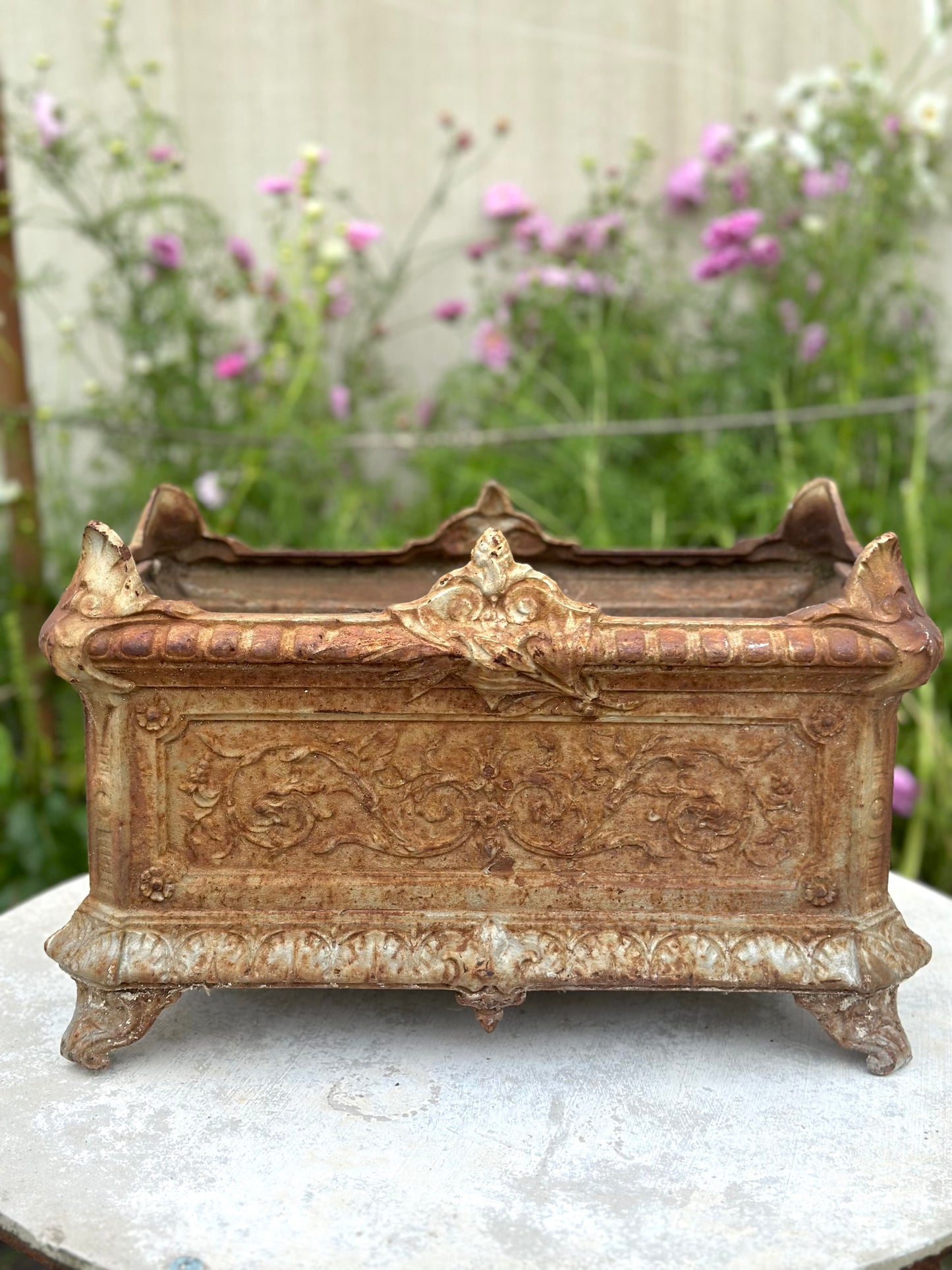 Antique French Rust Rectangle Cast Iron Jardinere