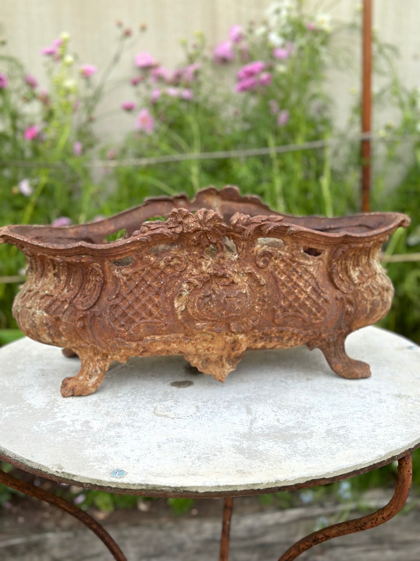 Antique French Large Rust Cast Iron Jardinere with Lace Detail