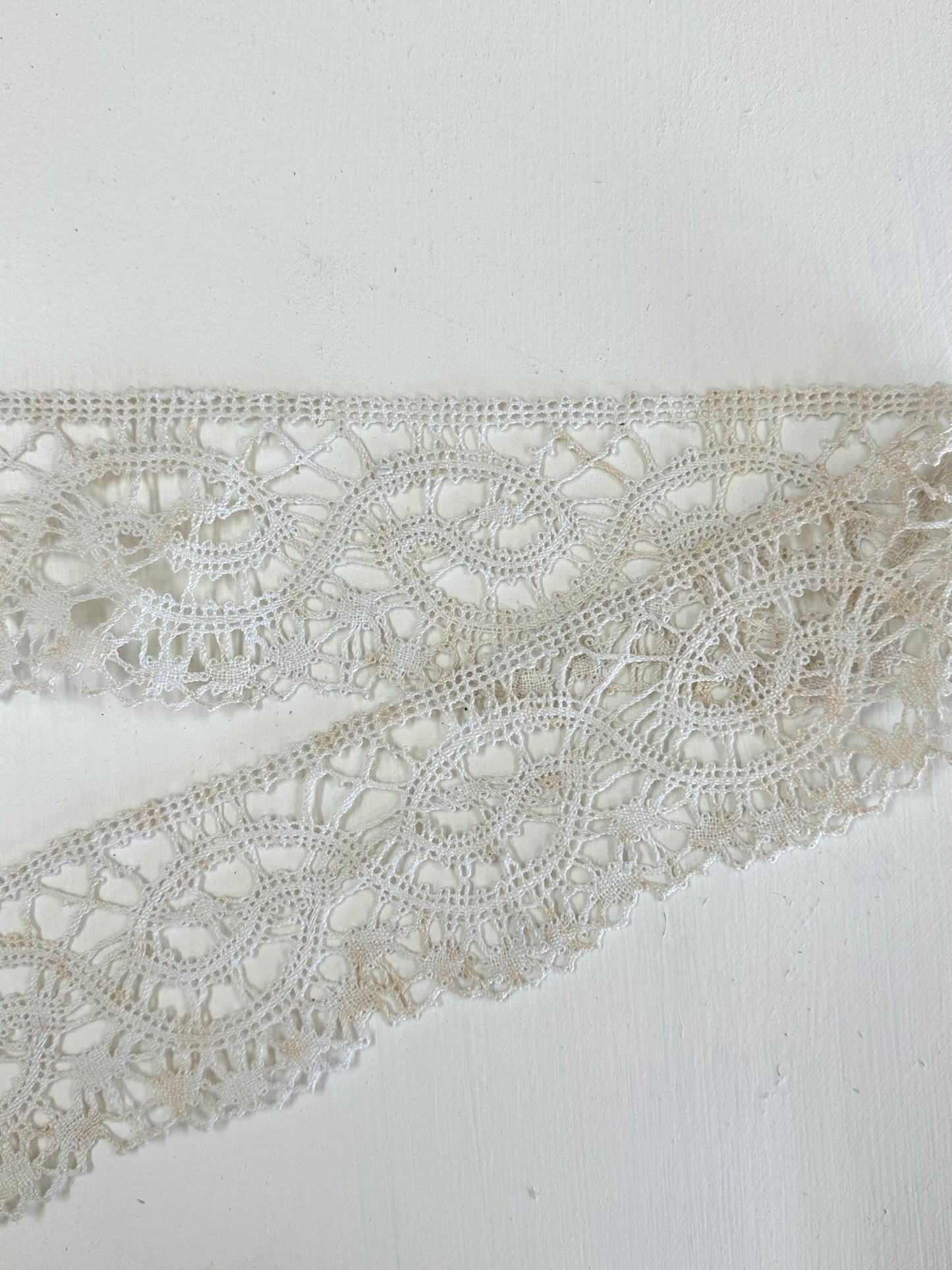Antique Belgian Cluny Lace Edging