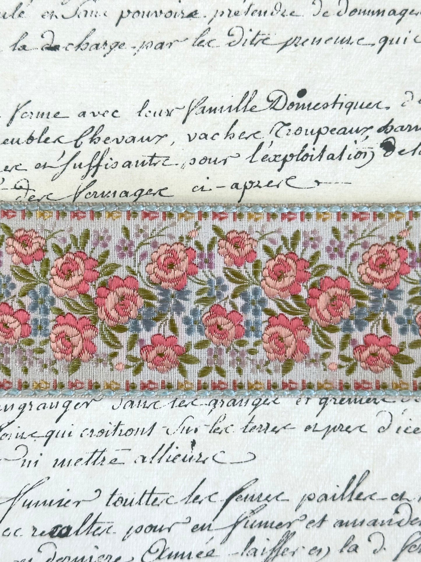 Vintage French Embroidered Floral Ribbon - White Background