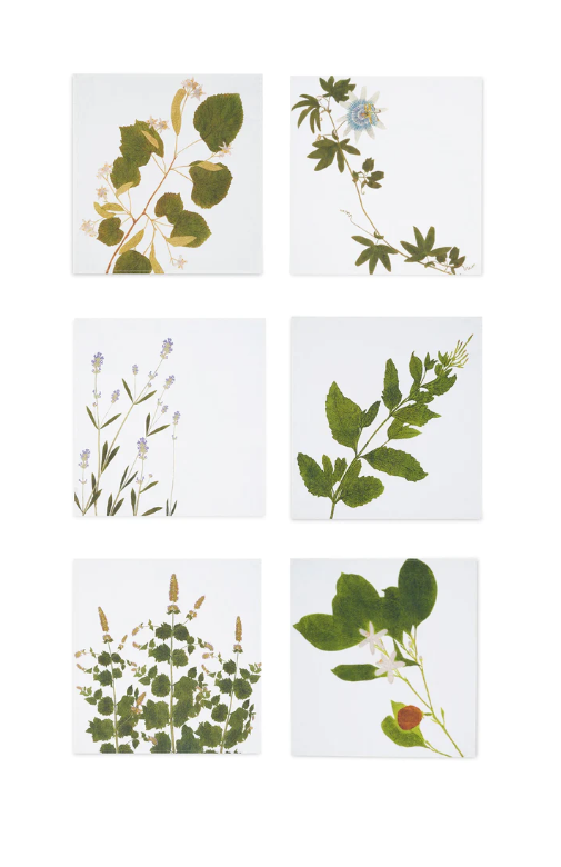 Summerill & Bishop 'Tisane Herb' Set of 6 Linen Napkins