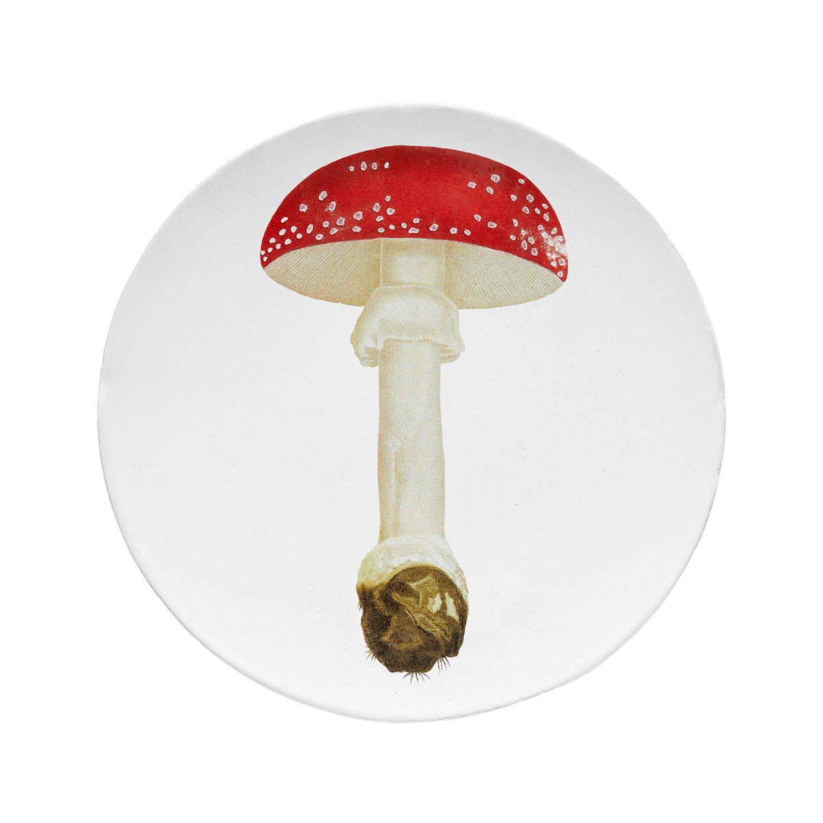 Astier de Villatte Agaric Fausse Oronge Umbrella Medium Plate