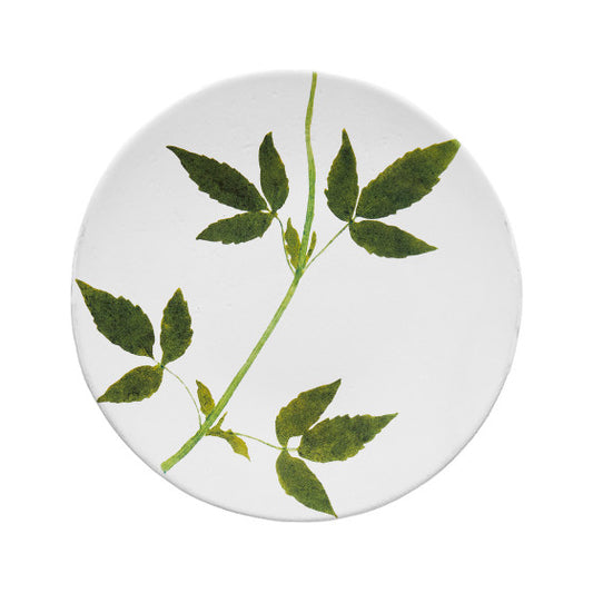 Astier de Villatte John Derian Medium Drachocephalum Plate