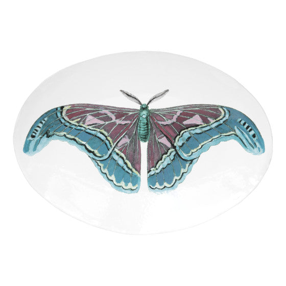 Astier de Villatte John Derian Oval Blue Butterfly Platter