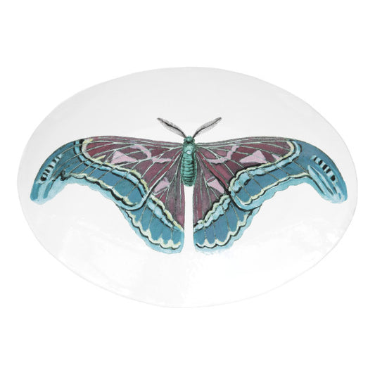 Astier de Villatte John Derian Oval Blue Butterfly Platter
