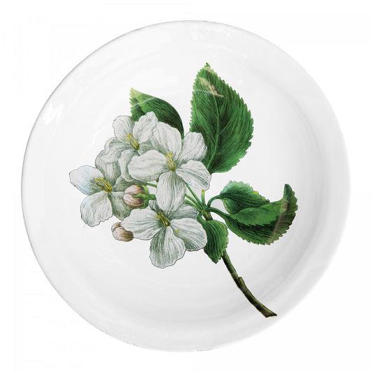 Astier de Villatte John Derian Paradise Apple Blossom Platter