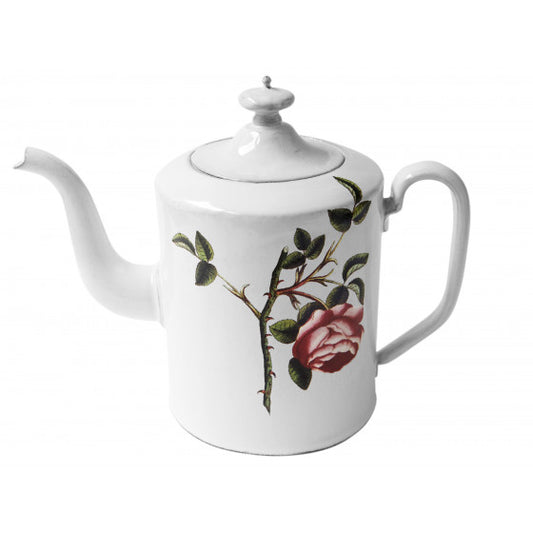 Astier de Villatte John Derian Rosa Centilolia Teapot