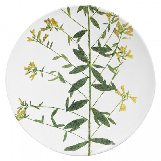 Astier de Villatte John Derian Medium Genista Plate