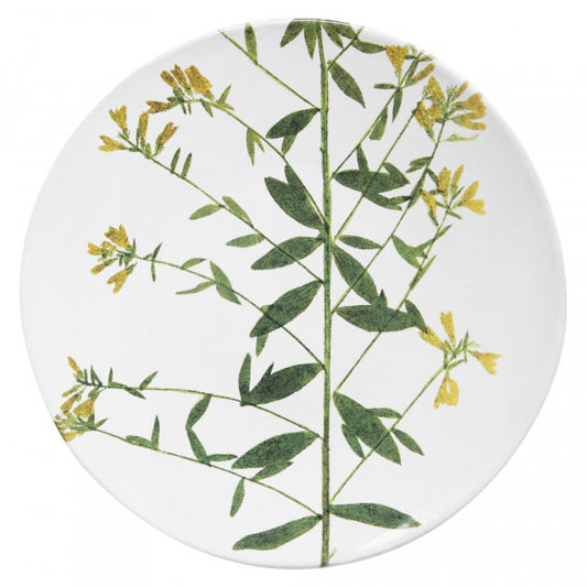 Astier de Villatte John Derian Medium Genista Plate