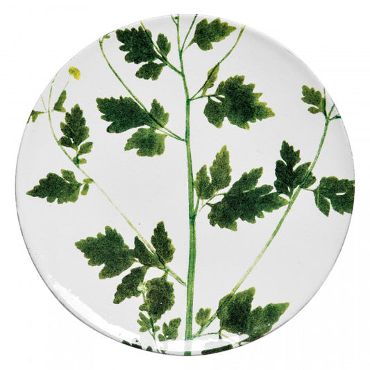 Astier de Villatte John Derian Medium Matricaria Plate