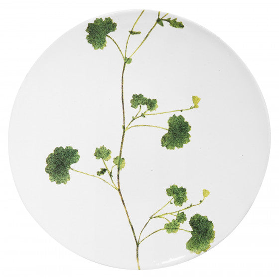 Astier de Villatte John Derian Medium Othona Plate