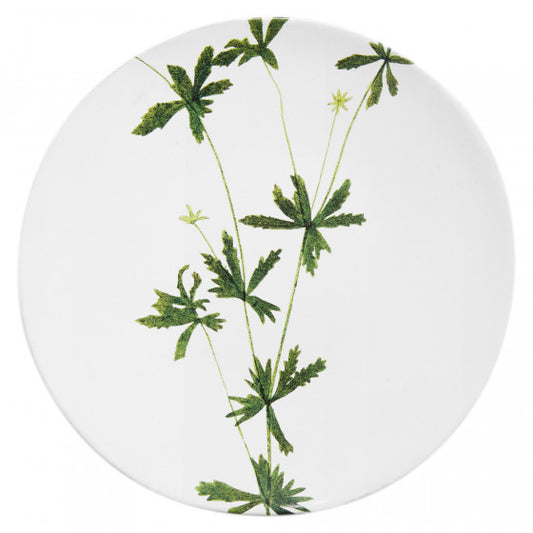 Astier de Villatte John Derian Medium Tormentilla Plate