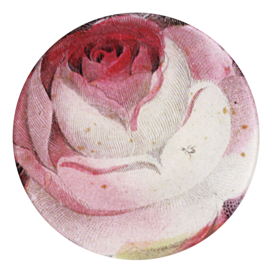 John Derian ‘Rose with Ant’ 5 3/4" Round Plate