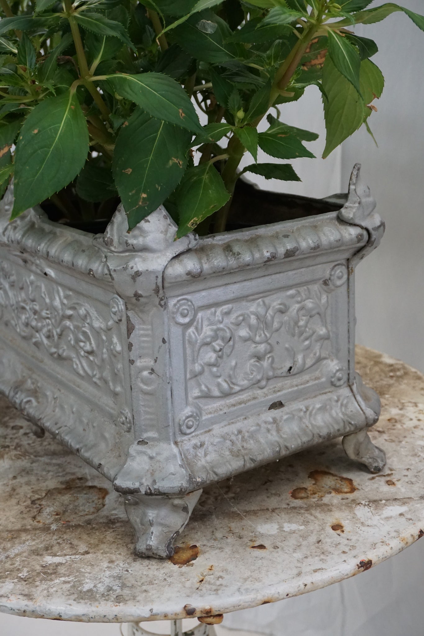 Antique French Cast Iron Jardinere
