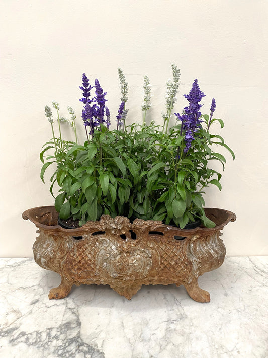 Antique French Cast Iron Lace-Work Jardinere - Floral