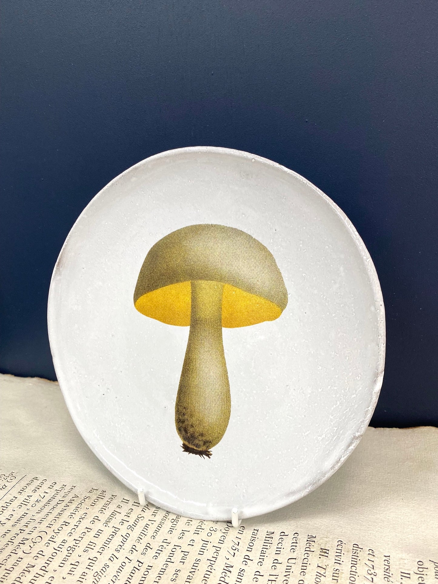 Astier de Villatte Bolet Blanchatre Medium Plate