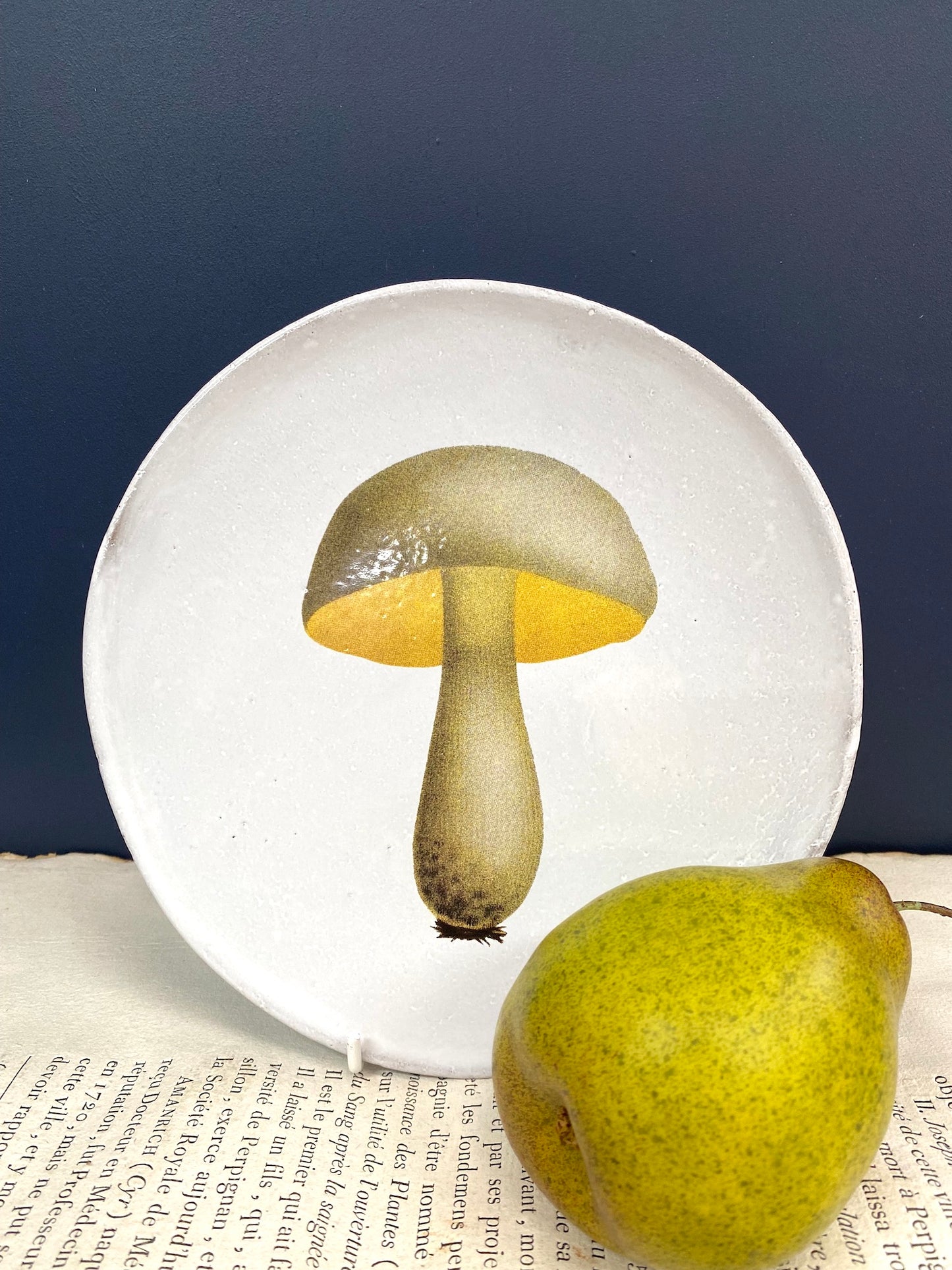 Astier de Villatte Bolet Blanchatre Medium Plate