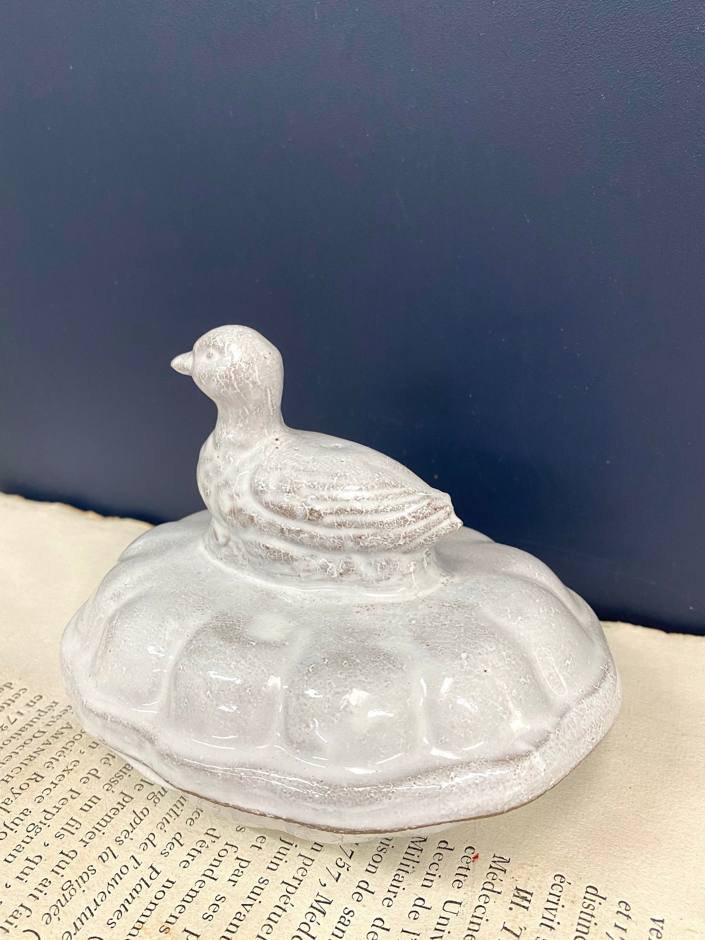 Astier de Villatte Cannette Duckling Small Box