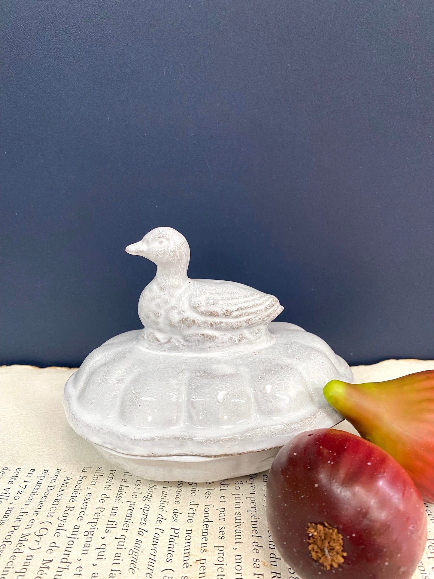Astier de Villatte Cannette Duckling Small Box