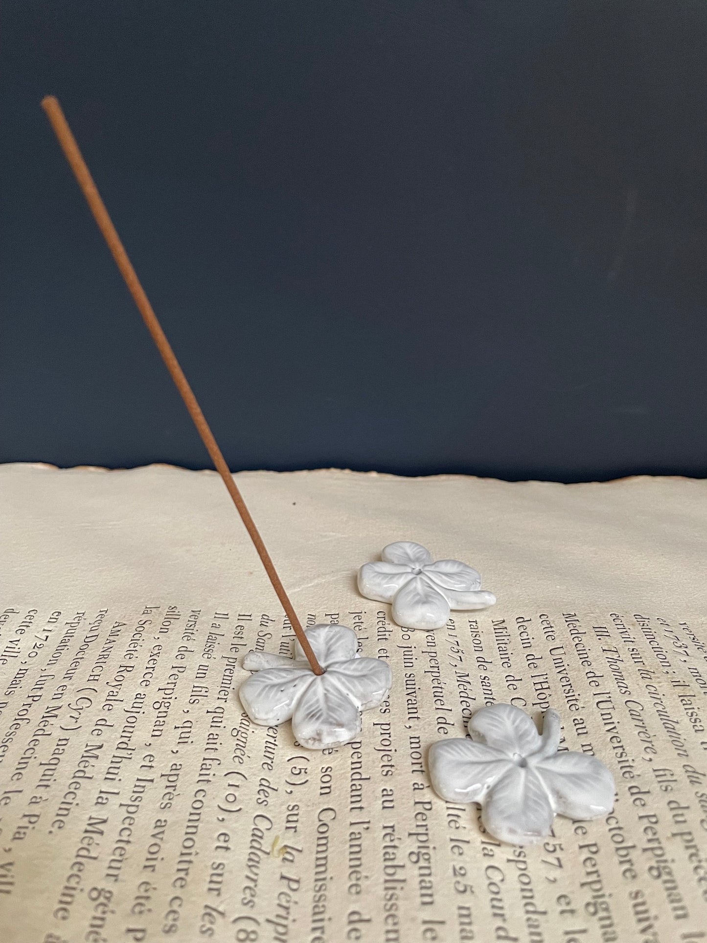 Astier de Villatte Chance Clover Incense Holder