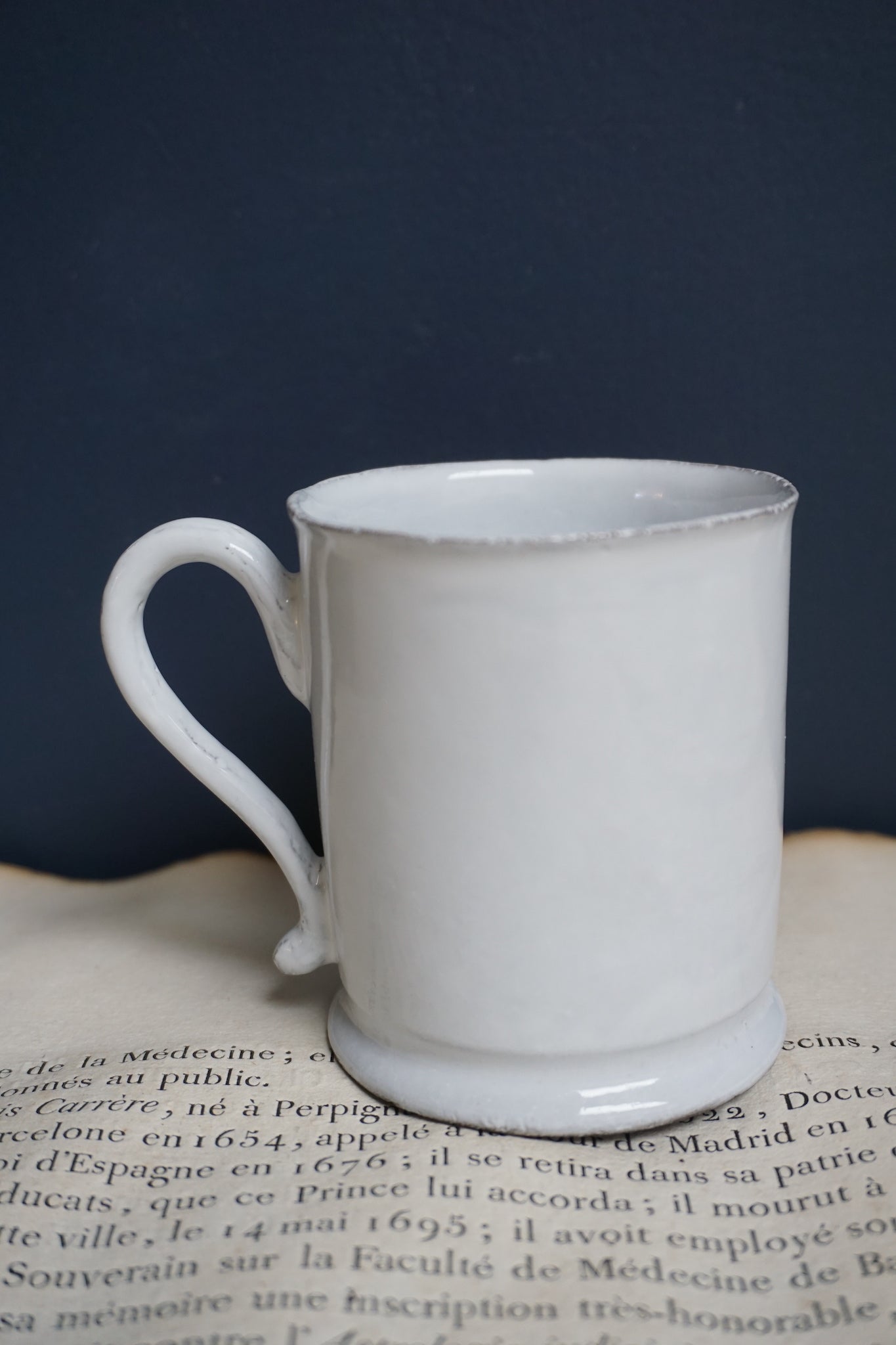 Astier de Villatte John Derian Bee Mug