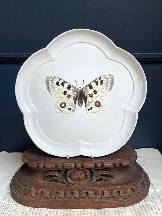 Astier de Villatte John Derian Butterfly Dinner Plate