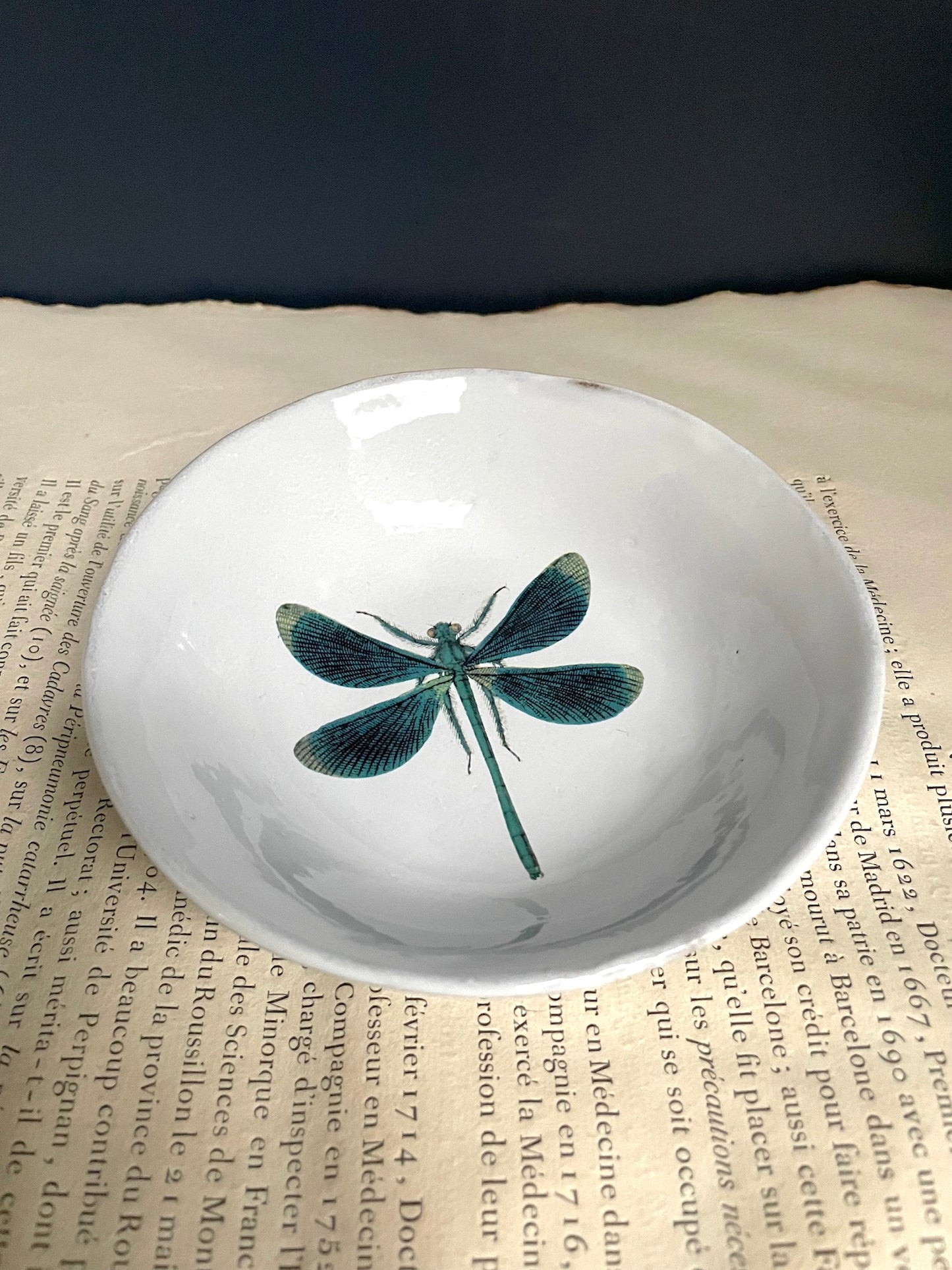 Astier de Villatte John Derian Dragonfly Soup Plate