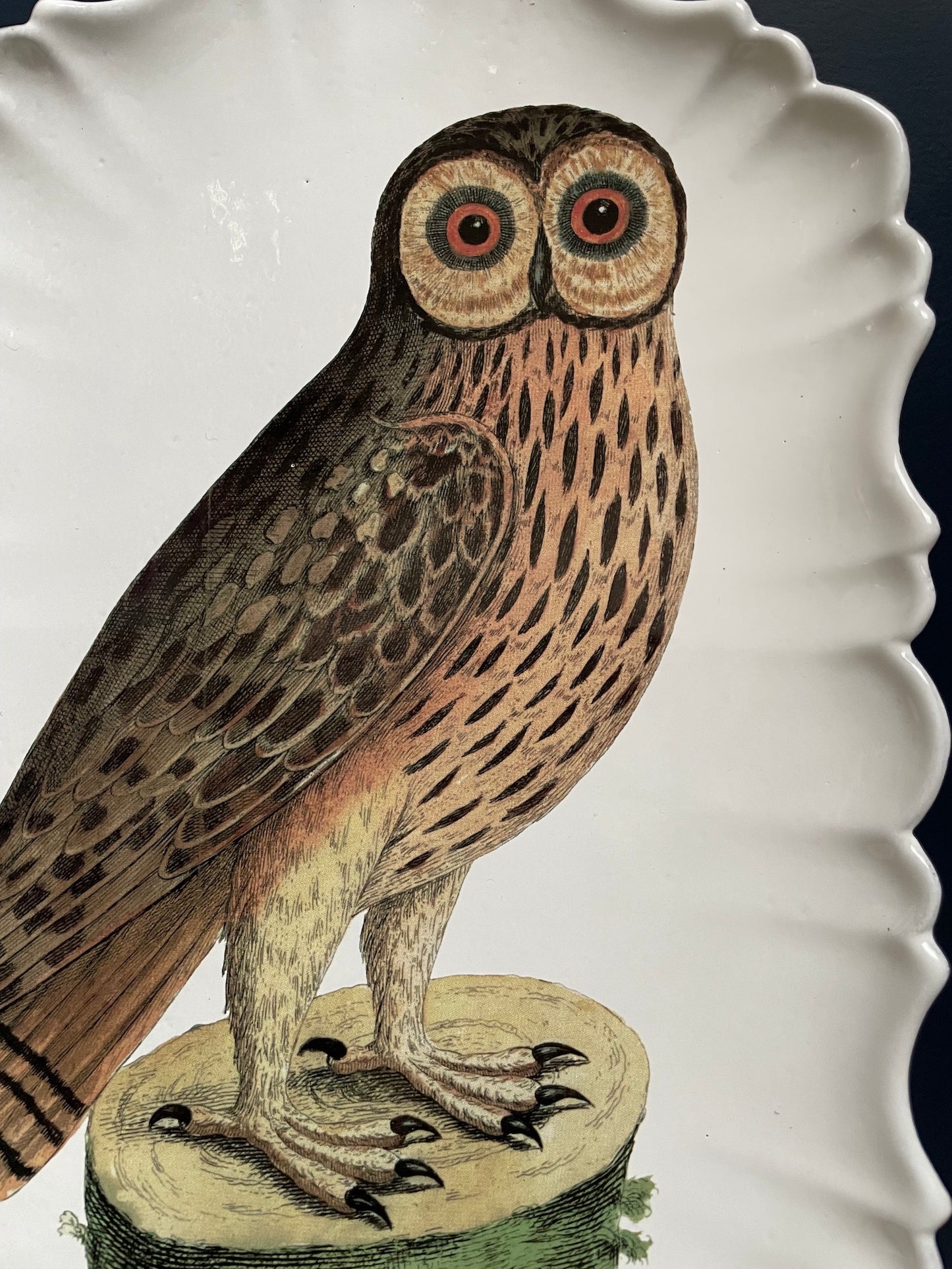 Astier de Villatte John Derian Owl Platter